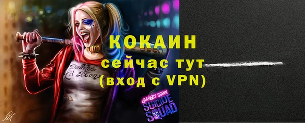 винт Армянск